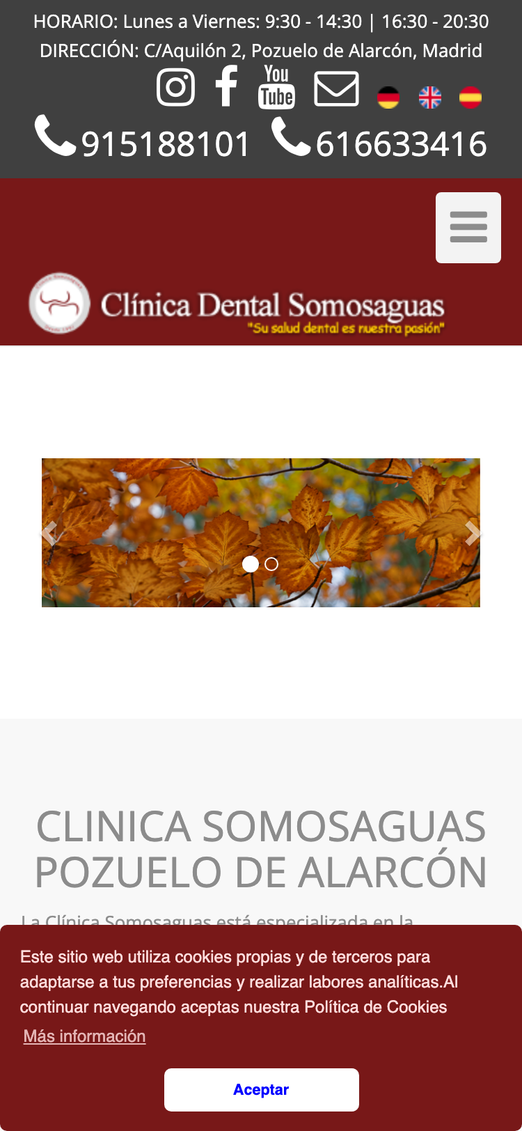 Captura de la web actual de Clínica Dental Somosaguas en un móvil